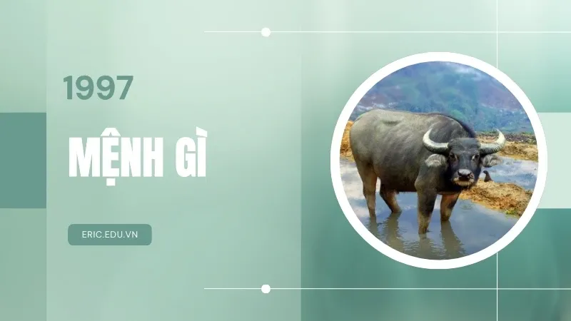 Sinh năm 1997 mệnh gì? Tính cách và vận mệnh chi tiết của người sinh năm 1997