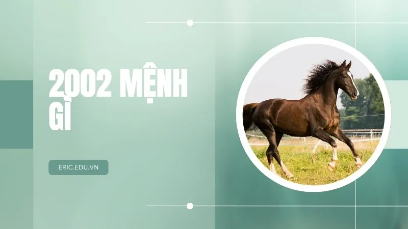 Nam nữ sinh năm 2002 mệnh gì? Đặc điểm tính cách ra sao? Hợp tuổi nào?