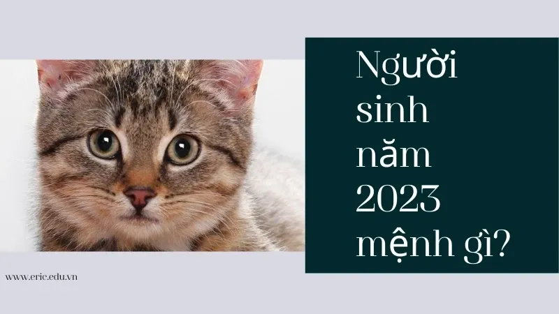 Người sinh năm 2023 mệnh gì? Tìm hiểu chi tiết về bản mệnh Kim Bạch Kim