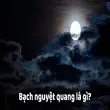 Bạch nguyệt quang là gì? Ý nghĩa sâu sắc trong tình yêu