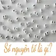 Số nguyên tố là gì? Cách nhận biết và ví dụ dễ hiểu