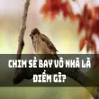 Chim bay vào nhà có sao không theo quan niệm dân gian?
