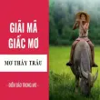 Giải mã giấc mơ thấy trâu báo hiệu điều gì?