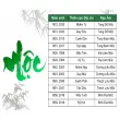 Người mệnh Mộc là gì? Tính cách có gì đặc biệt