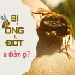 Nằm mơ ong đốt là điềm báo gì? Tốt hay xấu?
