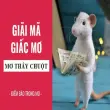 Nằm mơ thấy chuột là hên hay xui theo quan niệm