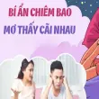 Giải mã ý nghĩa giấc mơ vợ chồng cãi nhau báo hiệu gì?