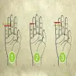 Khám phá xem tướng qua bàn tay dài ngắn chuẩn xác