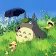 Bộ sưu tập ảnh avatar Totoro dễ thương cực đáng yêu