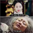 Khám phá bộ ảnh khóc meme vui nhộn khó nhịn được cười
