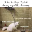 Bộ ảnh meme dỗi hài hước troll cực vui cho giới trẻ