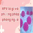 HPV là gì và phương pháp phòng ngừa hiệu quả từ sớm