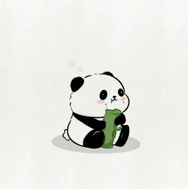 Ảnh avatar gấu cute tạo cảm giác nhẹ nhàng, dễ gần