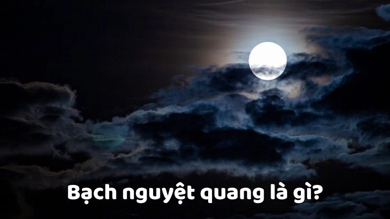 Bạch nguyệt quang là gì thường được hiểu là hình bóng khó quên trong lòng ai đó