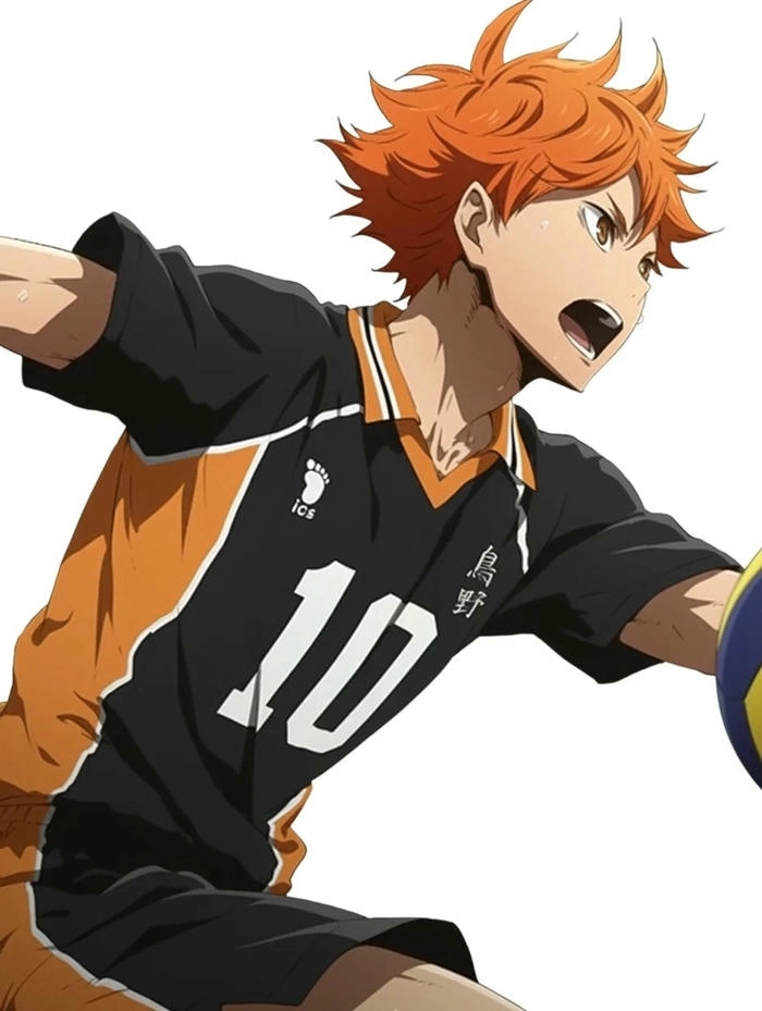 Haikyuu Shoyo ngọn lửa Karasuno cháy mãi không tắt