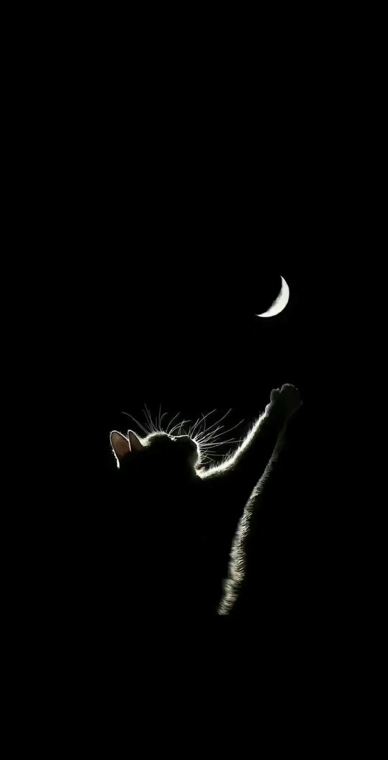 Hình nền điện thoại đen sang trọng và cá tính nổi bật