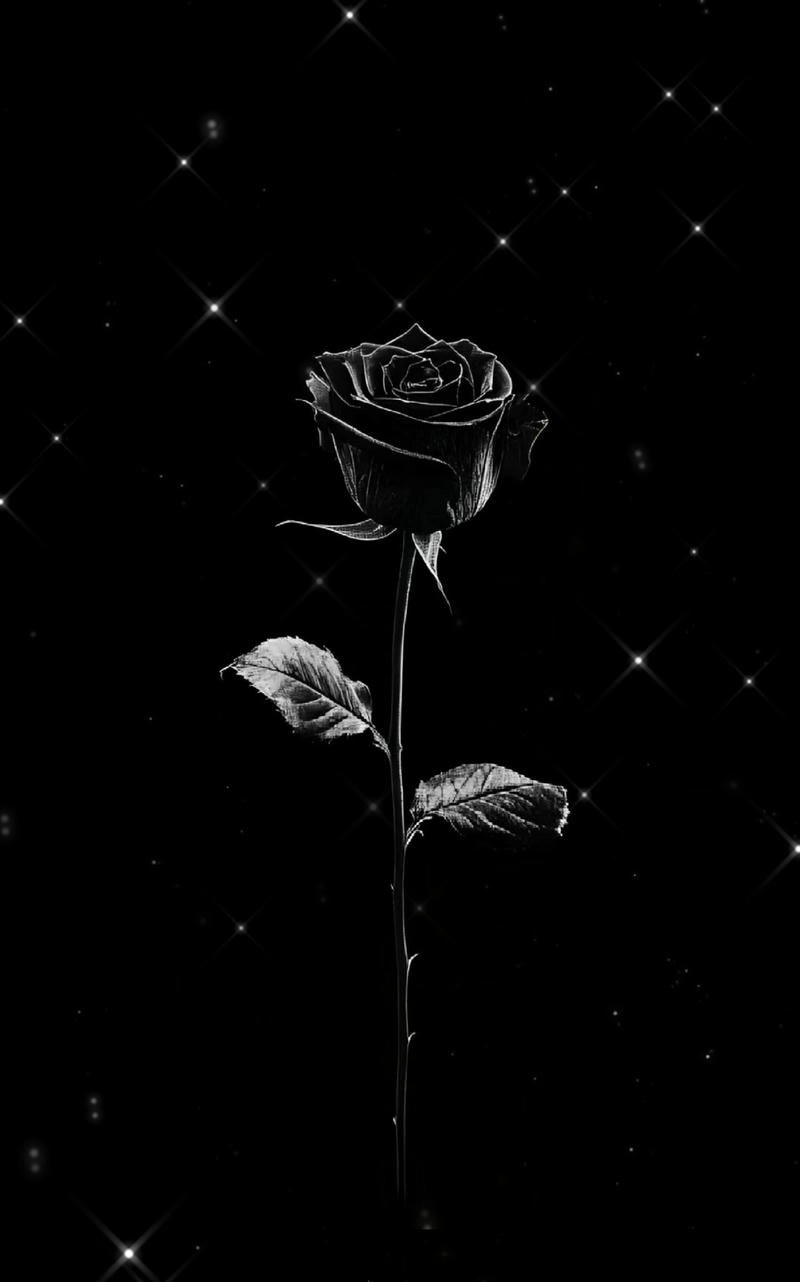 Tải hình nền màu đen cho điện thoại nhanh chóng tiện lợi