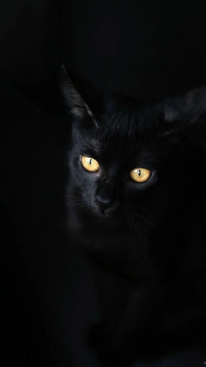 Hình nền anime buồn gợi mở thế giới lặng lẽ sau màn đêm