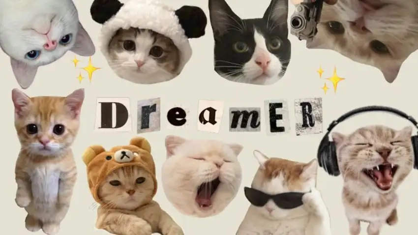 Hình nền anime cute dễ thương làm đẹp máy