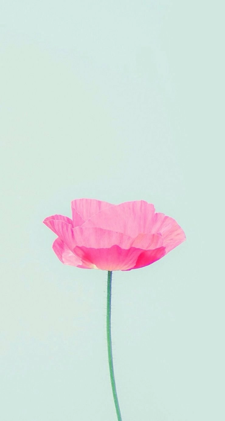 Hình nền điện thoại đơn giản cute hợp mọi phong cách