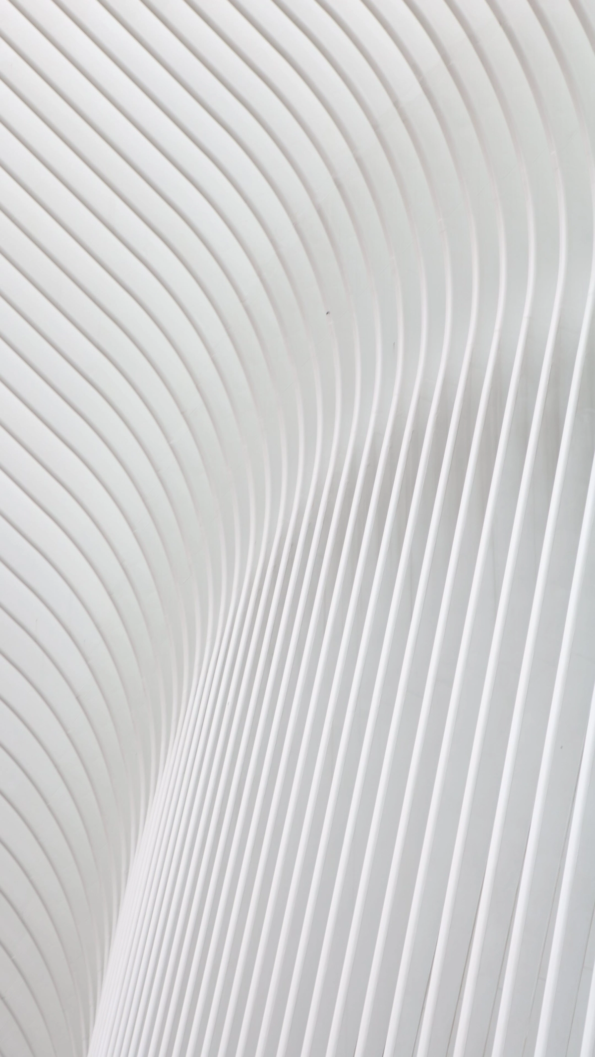 Hình nền đẹp đơn giản nhất giúp màn hình thêm nổi bật