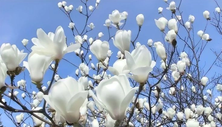 Thay hình nền facebook để làm mới cảm hứng