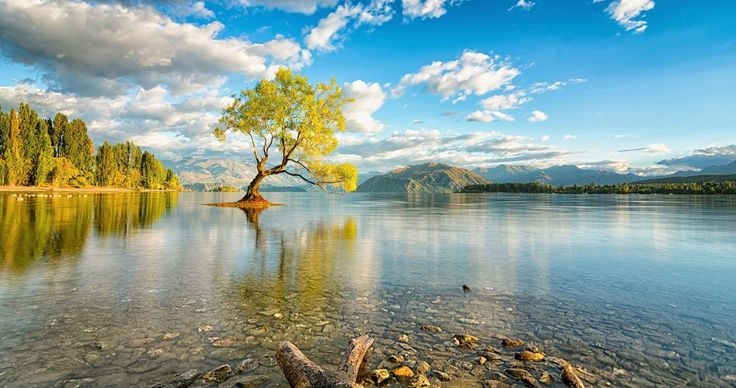 Hình nền đại diện facebook phong cách trẻ trung