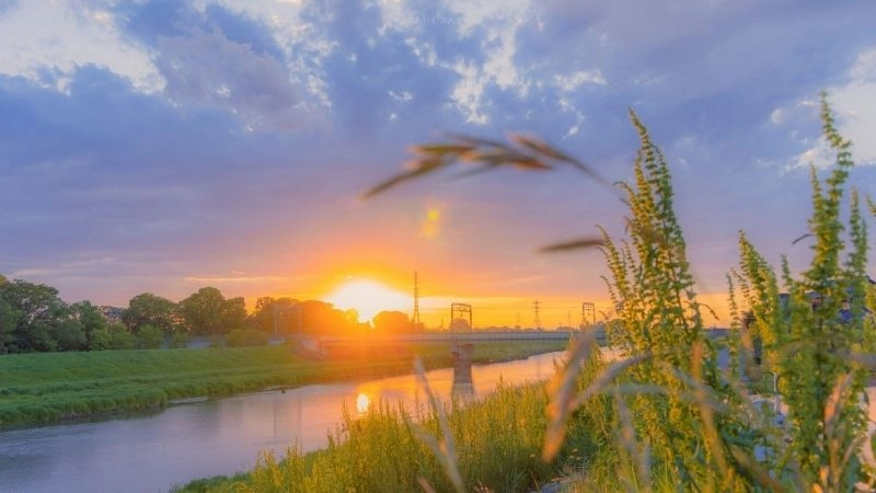 Tải hình nền cho facebook nhanh và tiện lợi