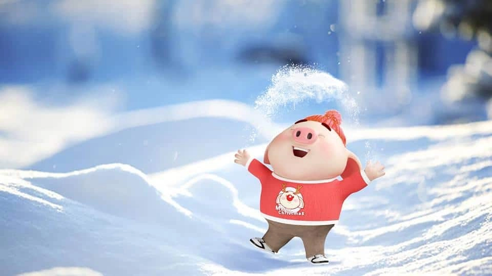Hình ảnh con heo cute ấn tượng tươi sáng