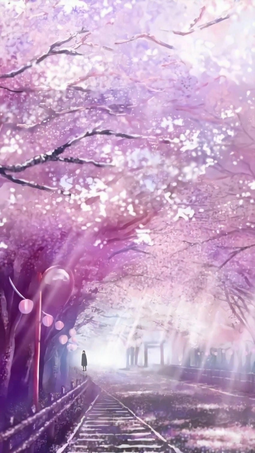 Hoa anh đào anime đẹp hút mắt người nhìn