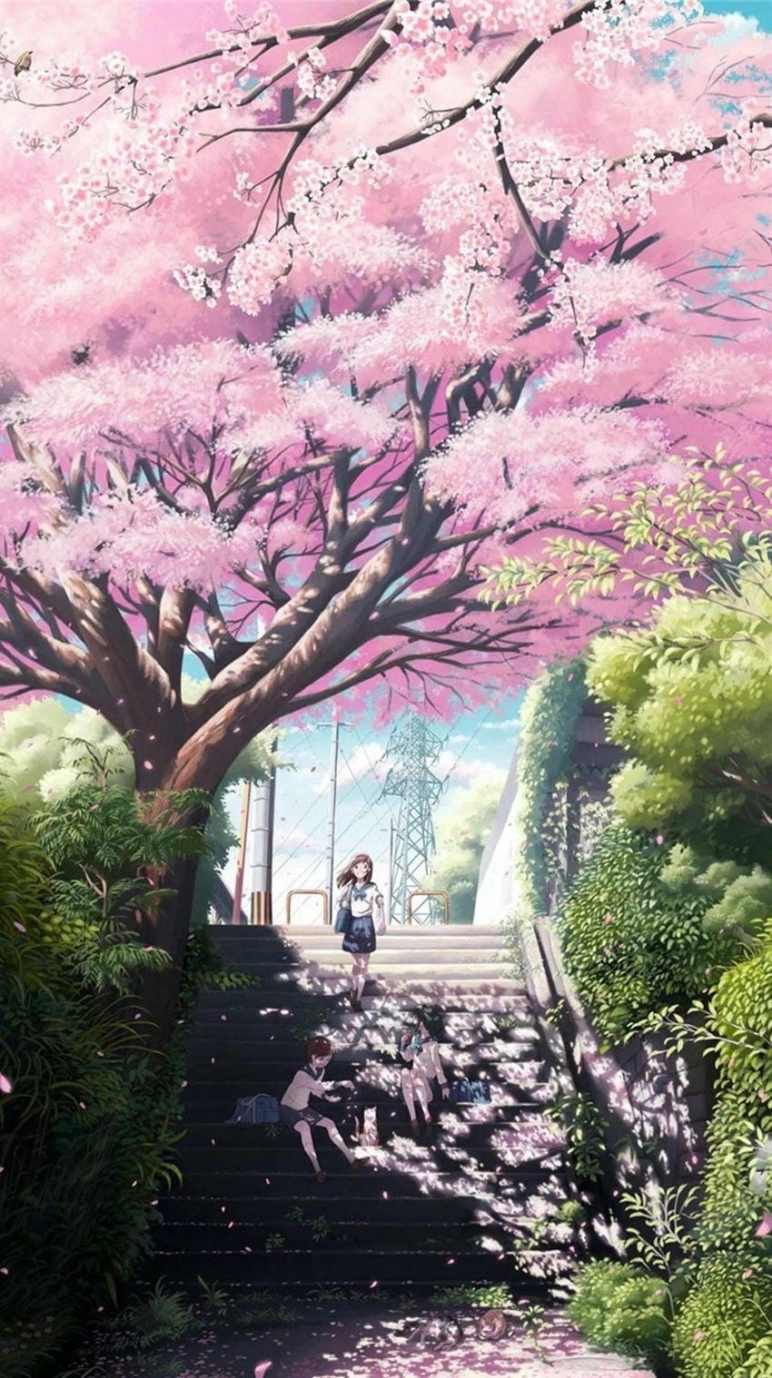 Hình nền hoa anh đào anime cho điện thoại