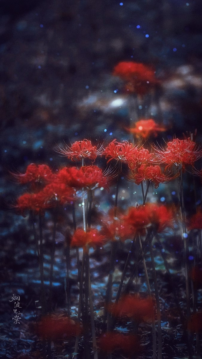 Bỉ ngạn đỏ nổi bật giữa nền trời u ám