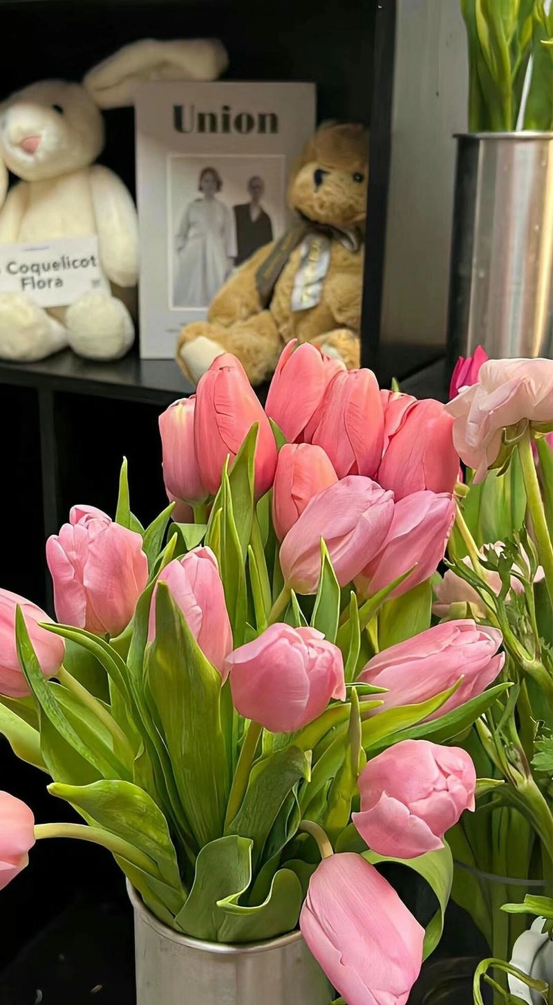 Ảnh chill hoa tulip mang vẻ đẹp lặng thầm