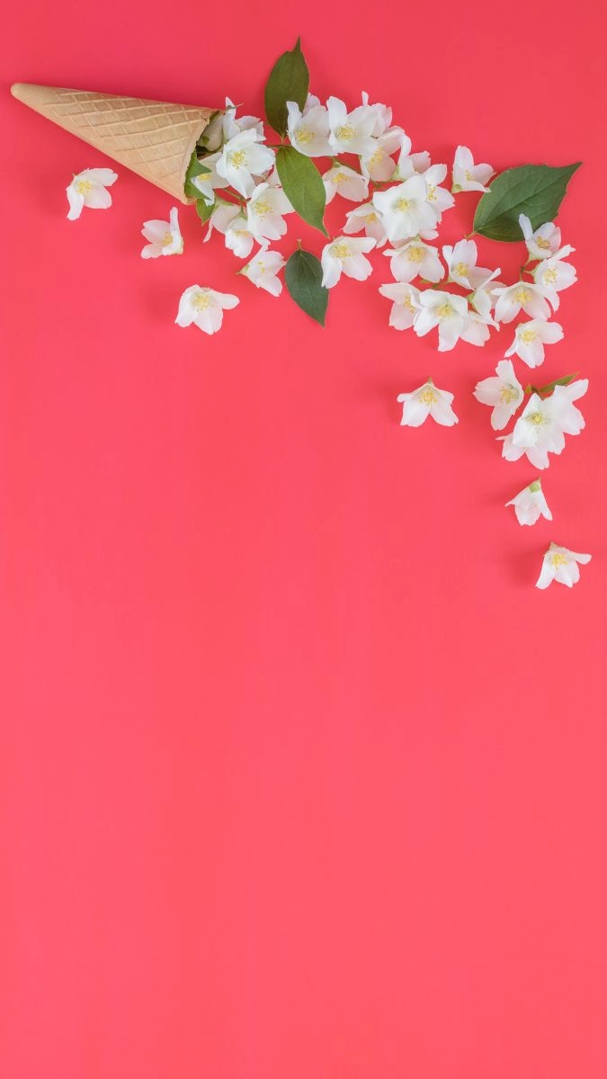 Hình nền hoa nhài cho điện thoại đẹp