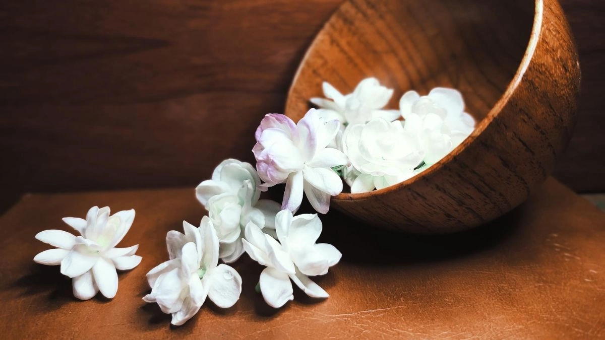 Ảnh nền hoa nhài trang nhã và dịu mắt