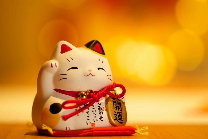 Mèo thần tài hình nền máy tính đón may mắn