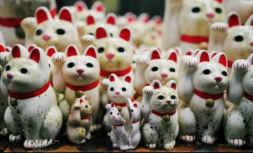 Hình nền mèo thần tài chibi dễ mến vô cùng