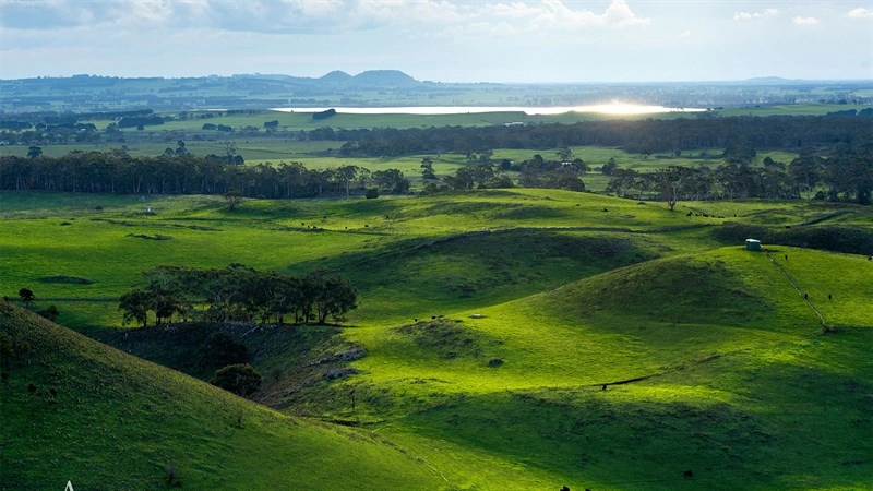 Hình nền powerpoint thiên nhiên mang đến cảm giác thư giãn