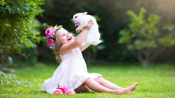 Nền thỏ cute vui nhộn tạo không gian dễ chịu