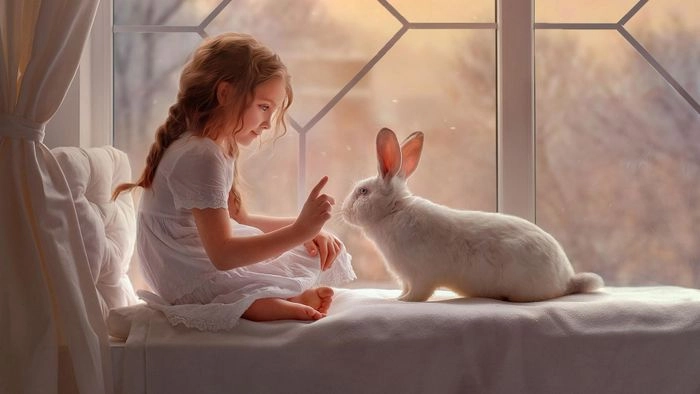 Ảnh nền con thỏ sinh động đáng yêu cuốn hút
