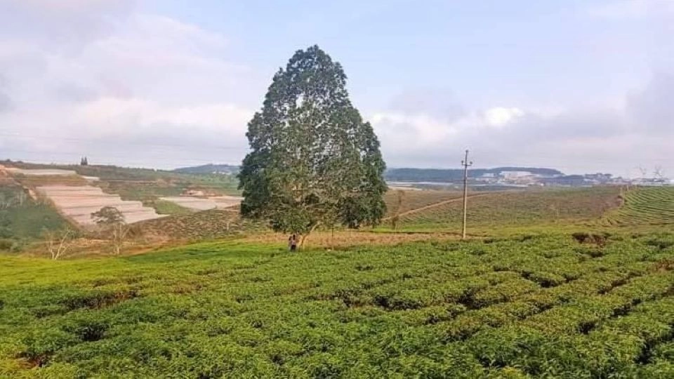 Ảnh nền Zalo buồn nói hộ tiếng lòng lặng thầm