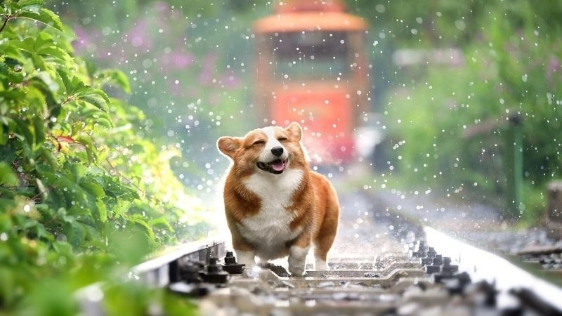 Hình nền Zalo đẹp chất dành riêng cho bạn