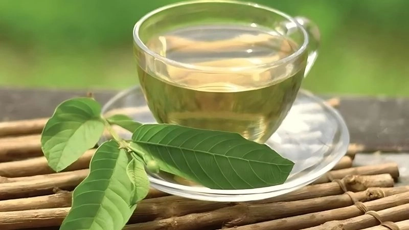 Uống lá ổi có tác dụng gì là hỗ trợ tiêu hóa và kiểm soát đường huyết