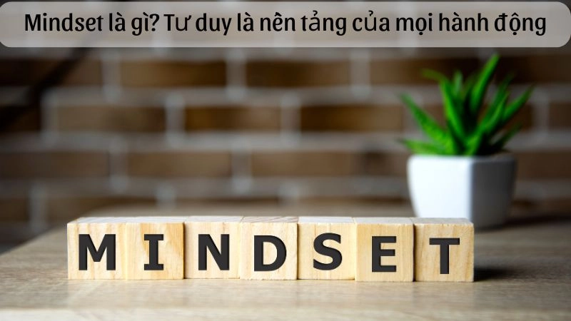 Mindset là gì mà có thể quyết định thành công hay thất bại của bạn