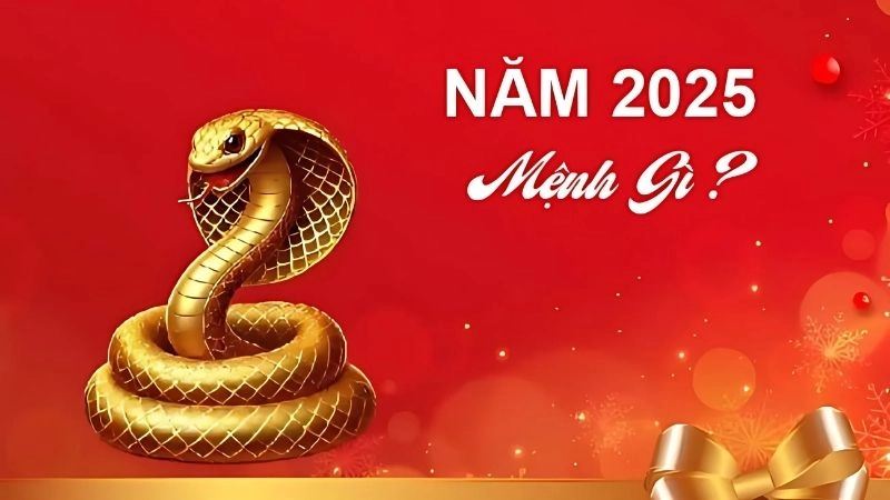Năm 2025 là năm con gì được nhiều người quan tâm khi chọn ngày cưới hỏi