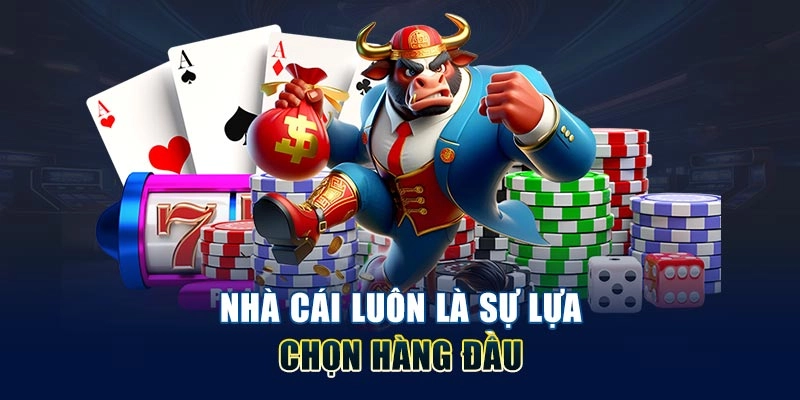 Nhà cái luôn là sự lựa chọn hàng đầu