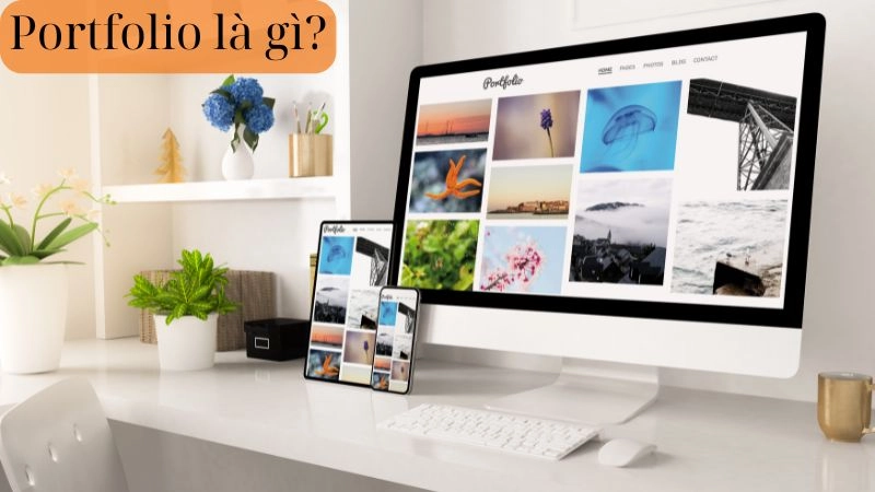 Trang web làm portfolio giúp bạn tạo hồ sơ cá nhân đẹp và chuyên nghiệp