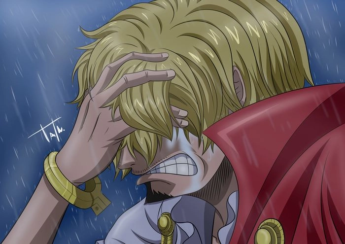 Sanji hair tóc bồng bềnh quyến rũ