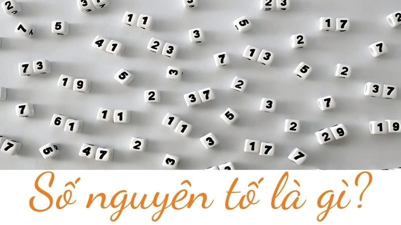 Số nguyên tố là số gì mà chỉ chia hết cho 1 và chính nó