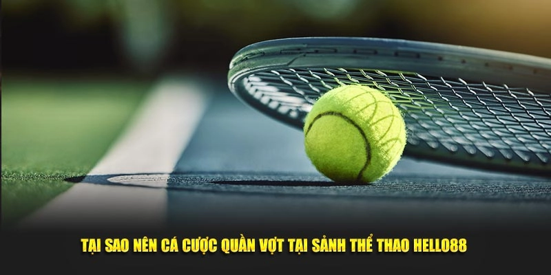 Tại sao nên cá độ quần vợt tại sảnh thể thao Hello88 